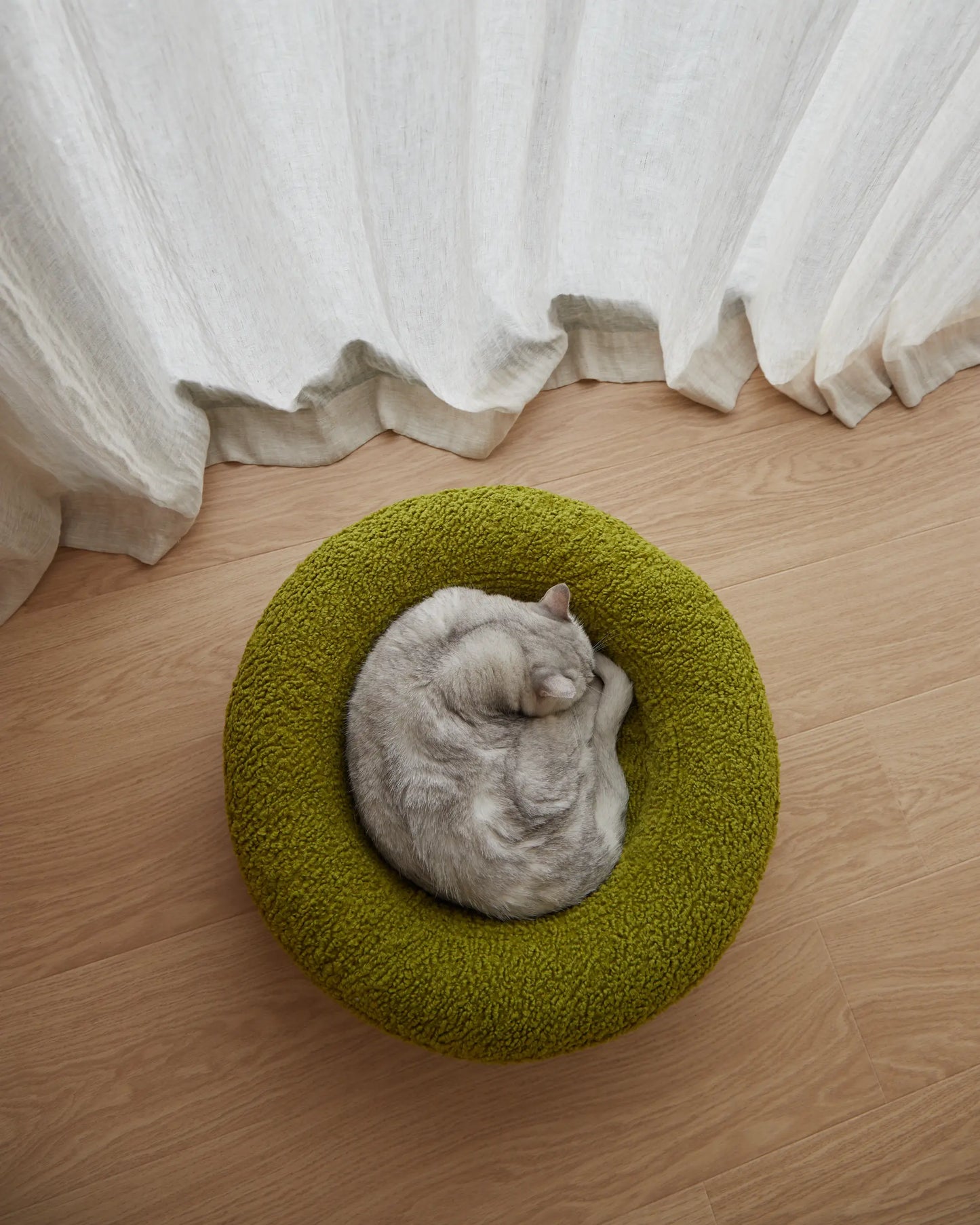 Teddy Covers